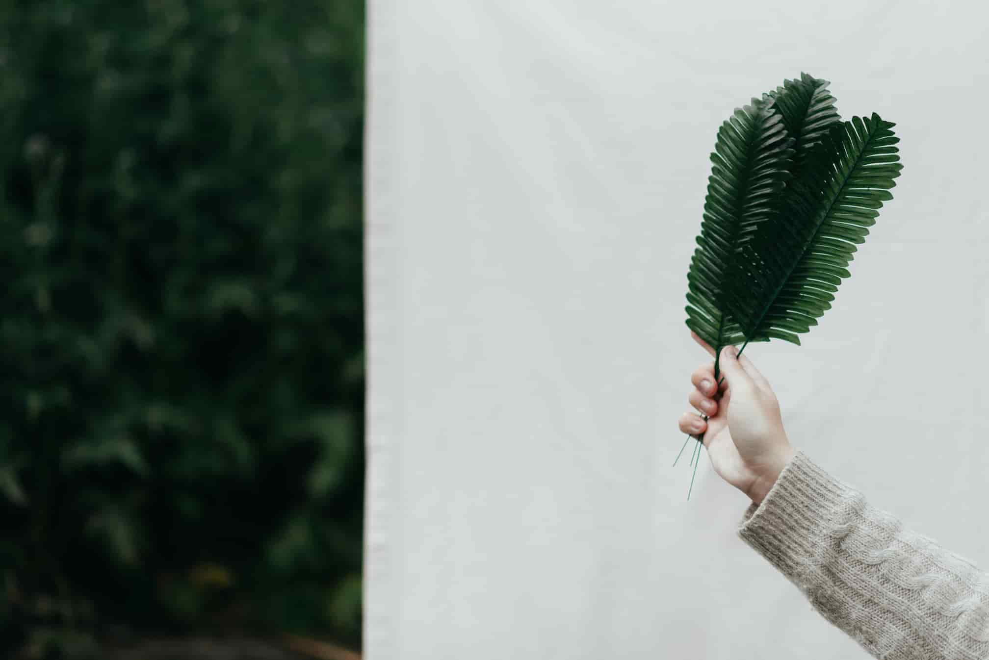 Clothing for People Who Hate Fast Fashion